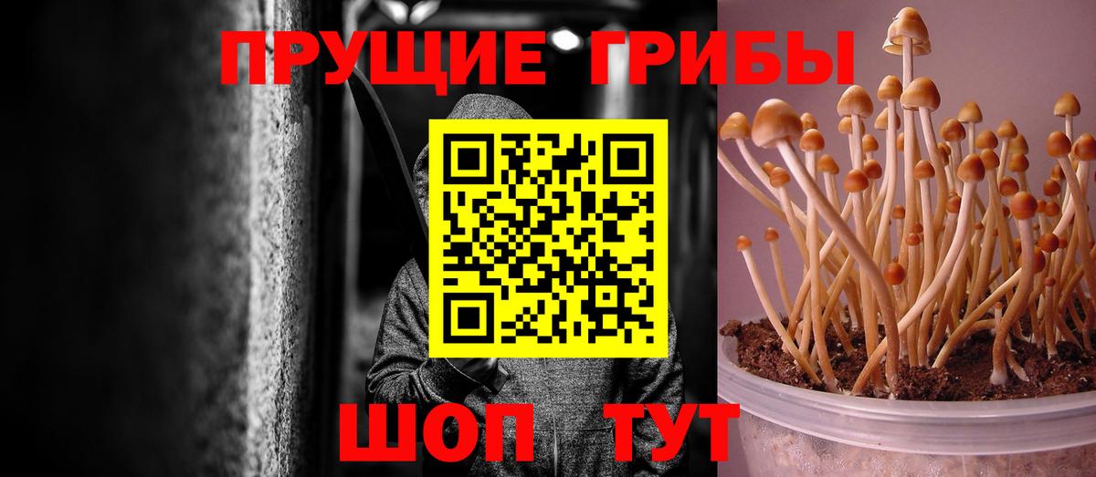 Щёлково  Галлюциногенные грибы GOLDEN TEACHER  Вход с VPN  Галлюциногенные грибы мухоморы 