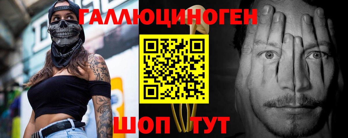 Псилоцибиновые грибы Psilocybe Щёлково